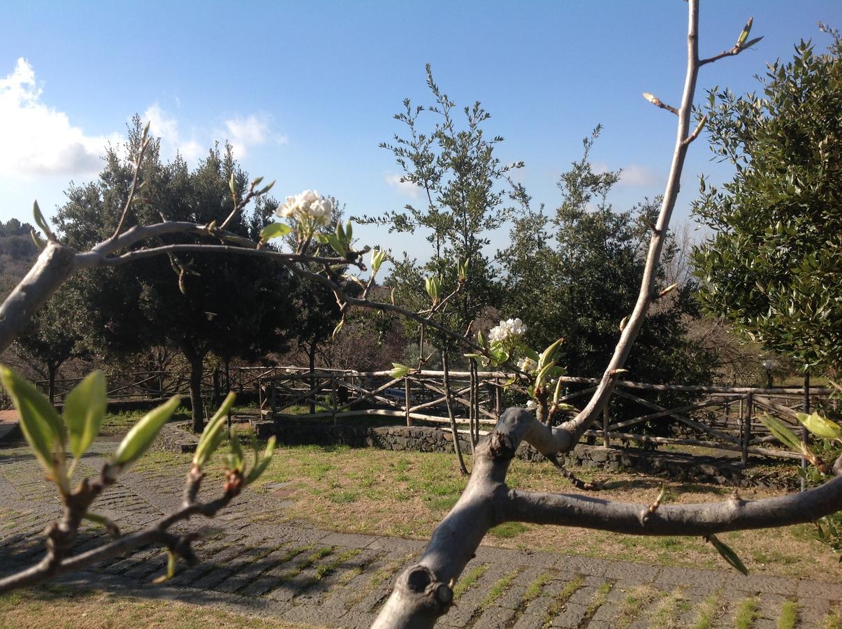 Le Cisterne Dell'Etna Hotel Calcerana-Marina Luaran gambar