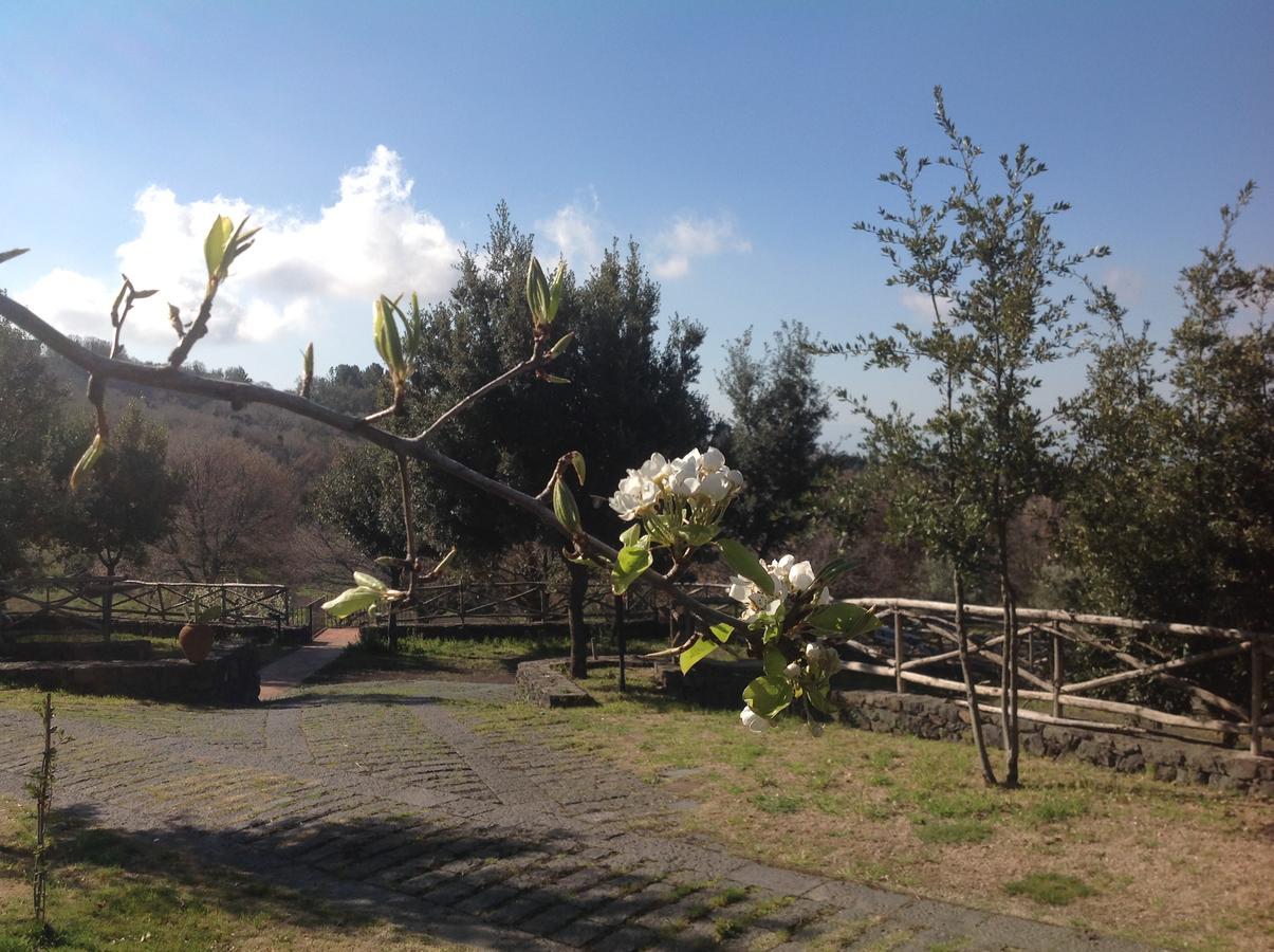 Le Cisterne Dell'Etna Hotel Calcerana-Marina Luaran gambar